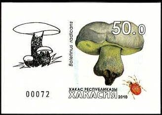 Mushrooms