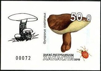 Mushrooms