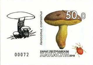 Mushrooms