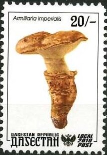 Mushrooms