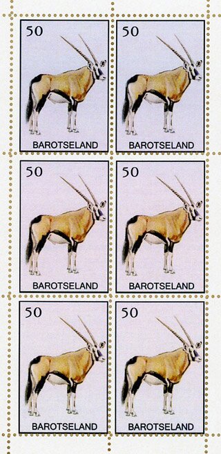 Oryx antelope