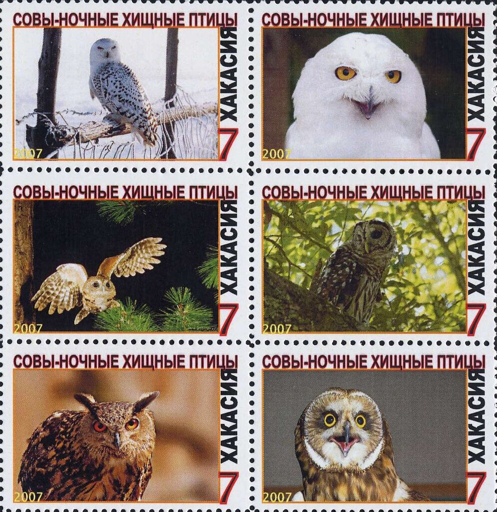 Owls