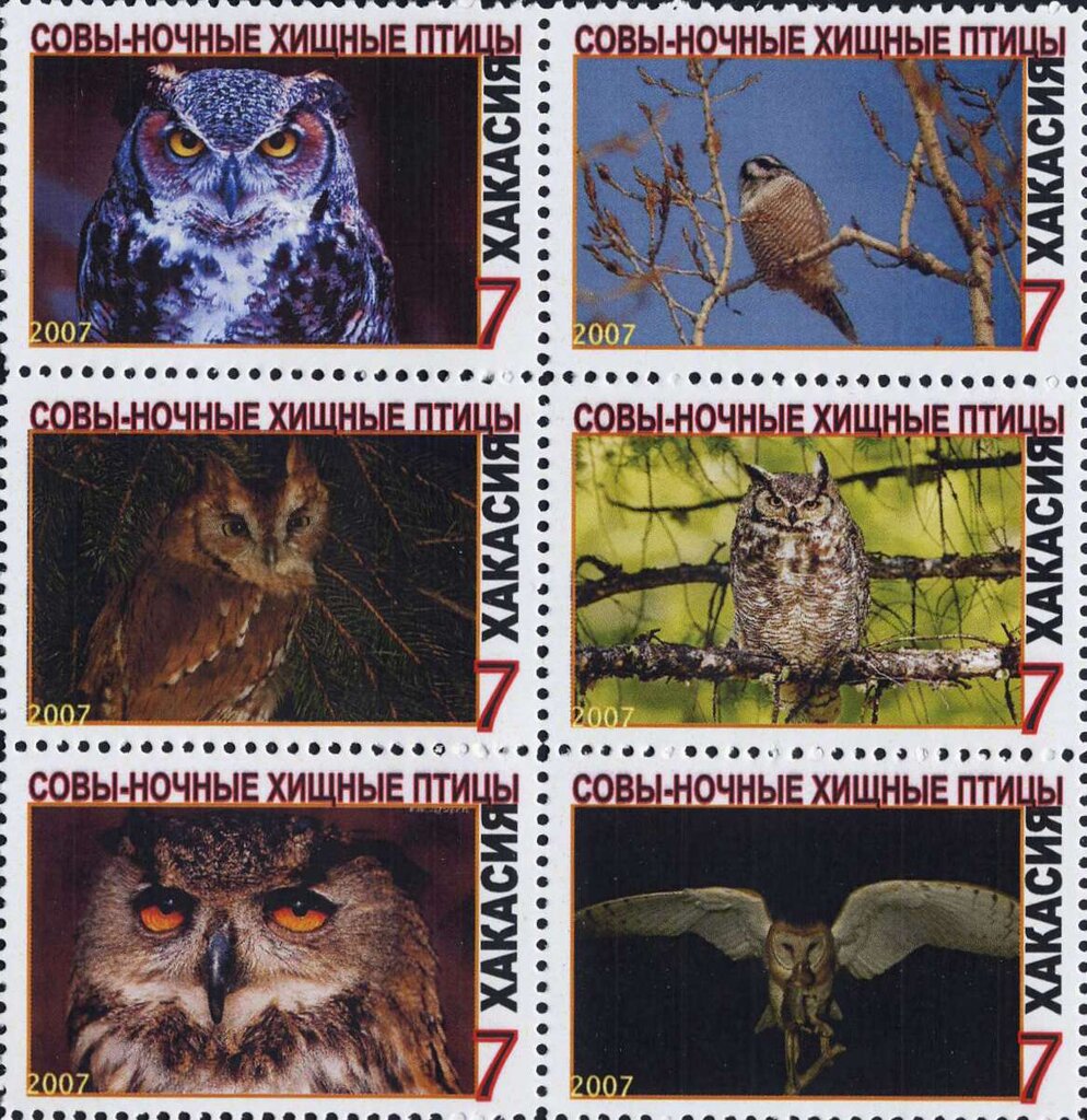 Owls