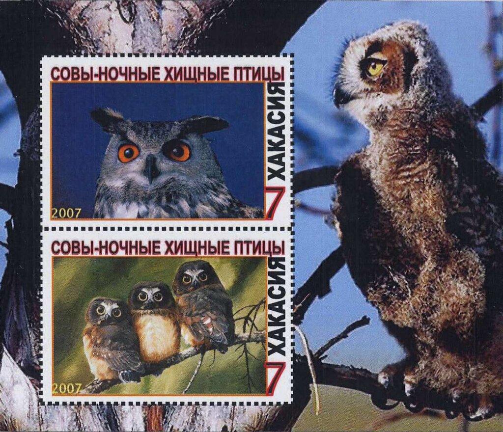 Owls