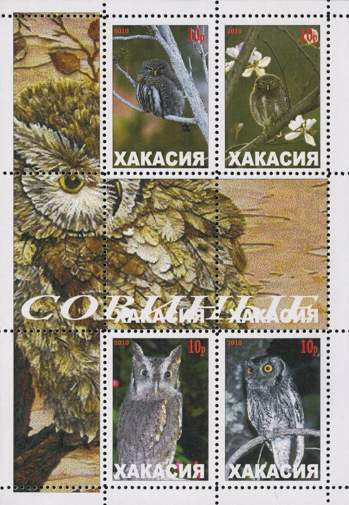 Owls