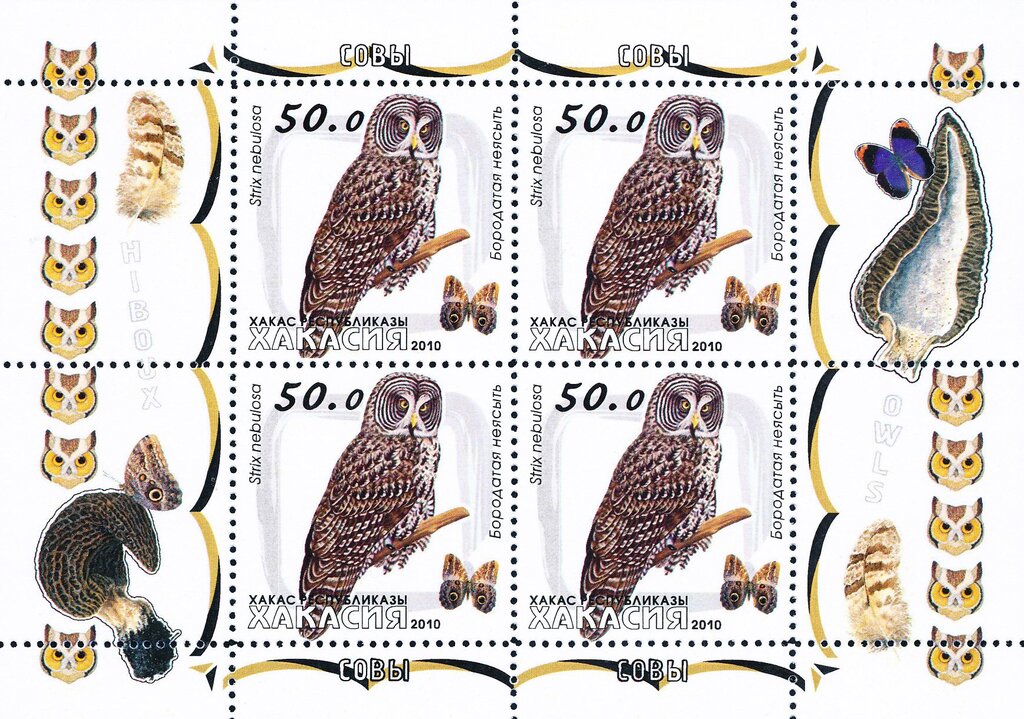 Owls