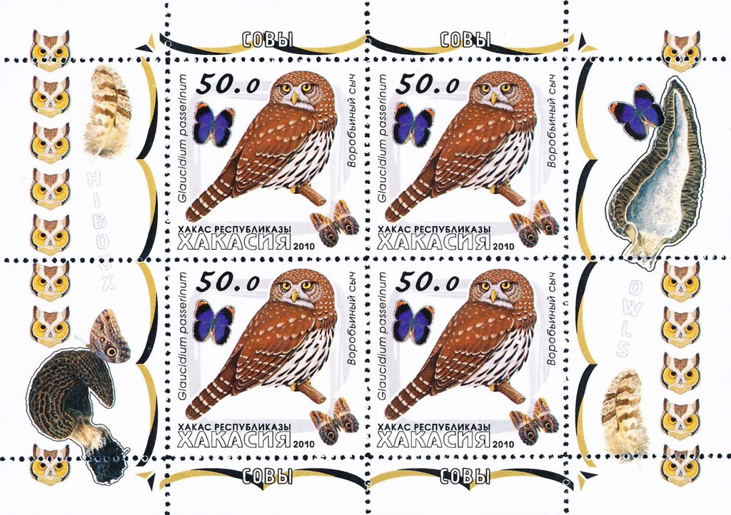 Owls