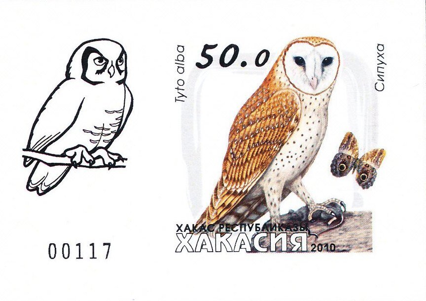 Owls