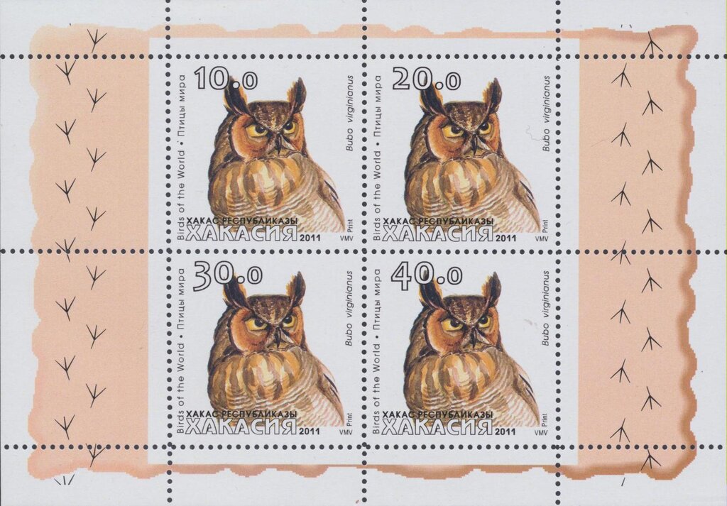 Owls