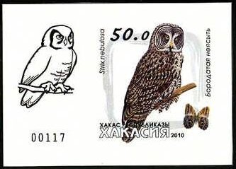 Owls