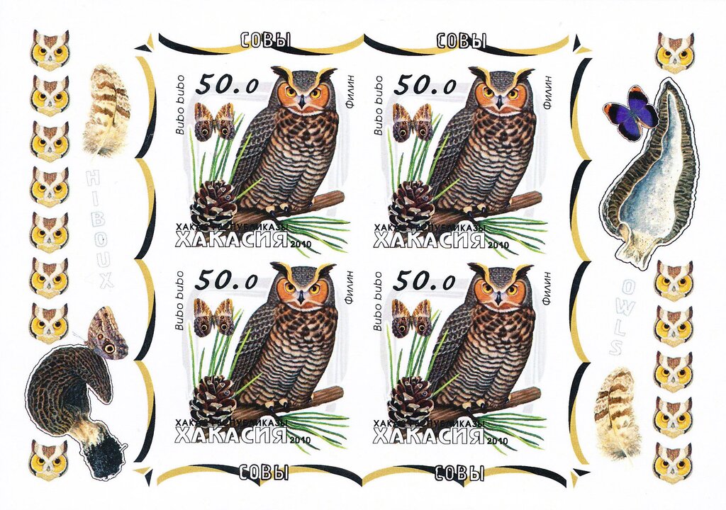 Owls