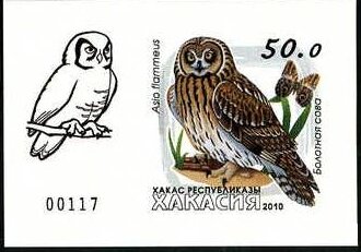 Owls