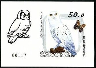 Owls