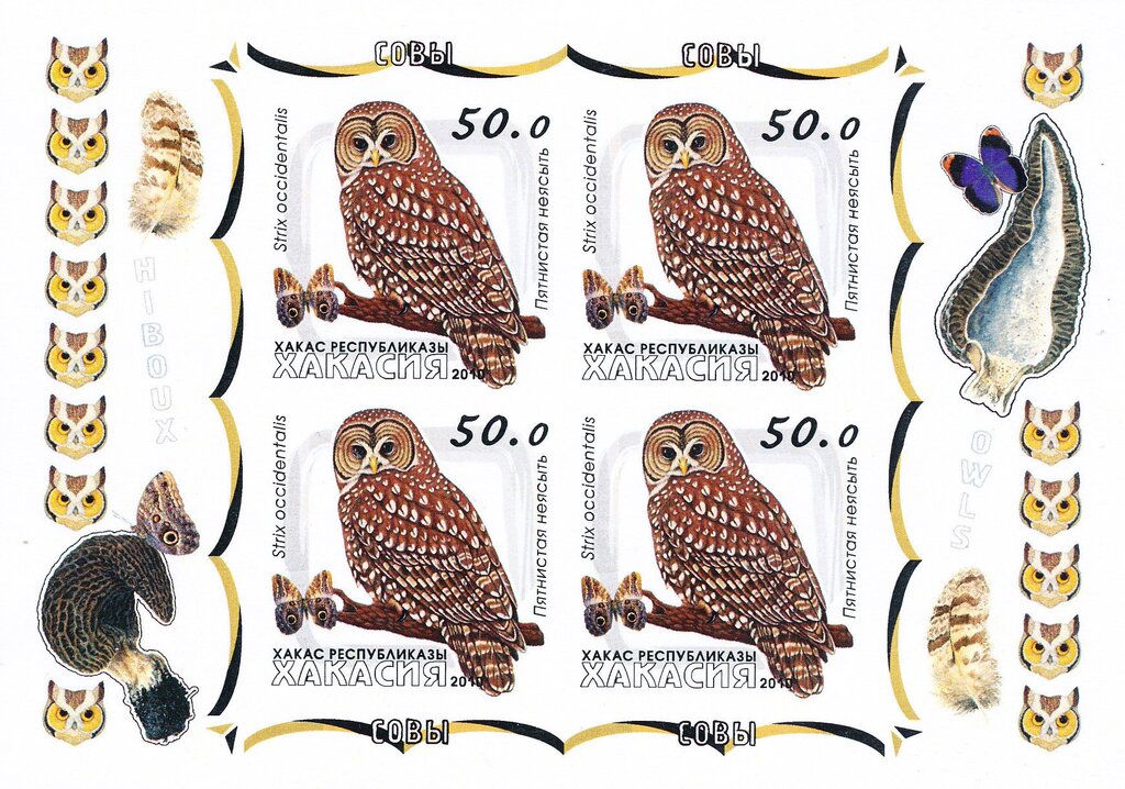 Owls