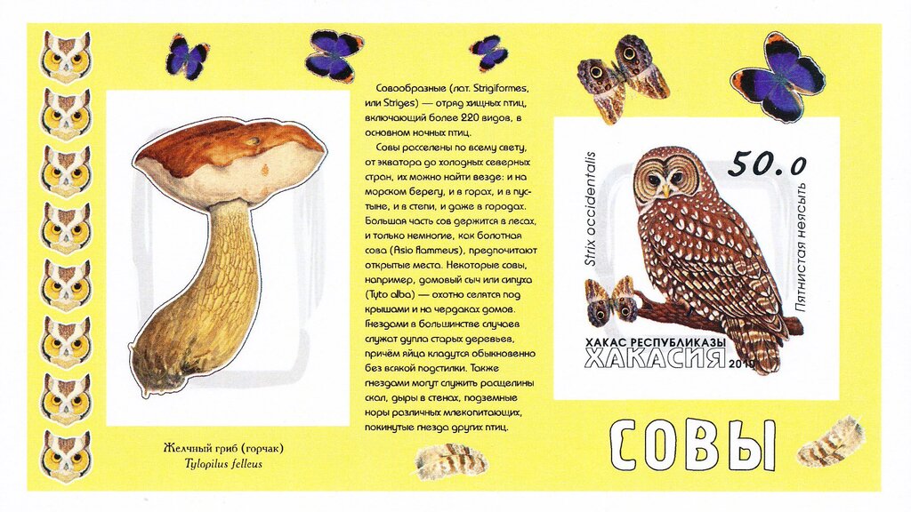 Owls