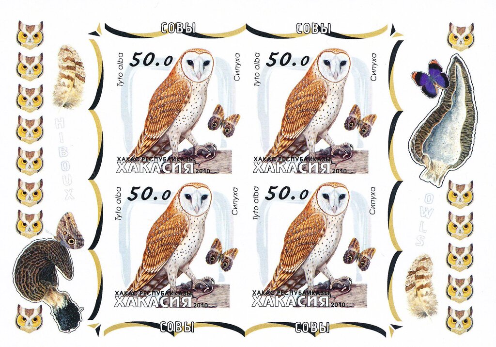 Owls