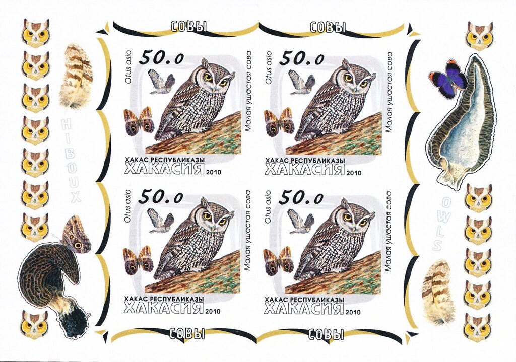 Owls