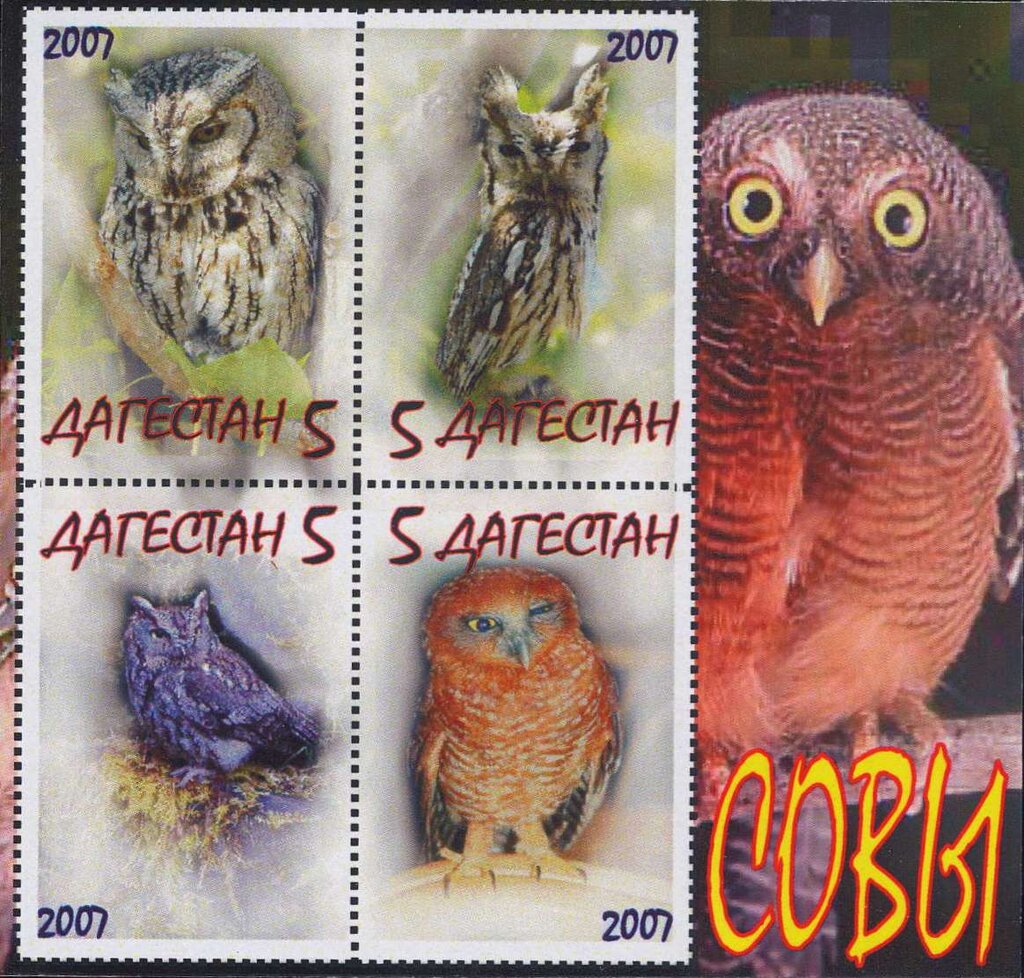 Owls