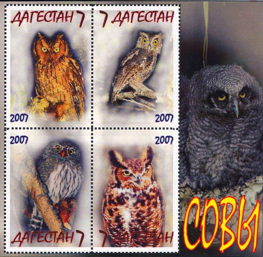 Owls