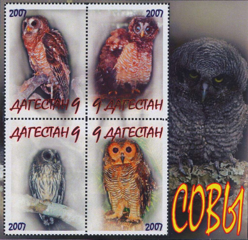 Owls