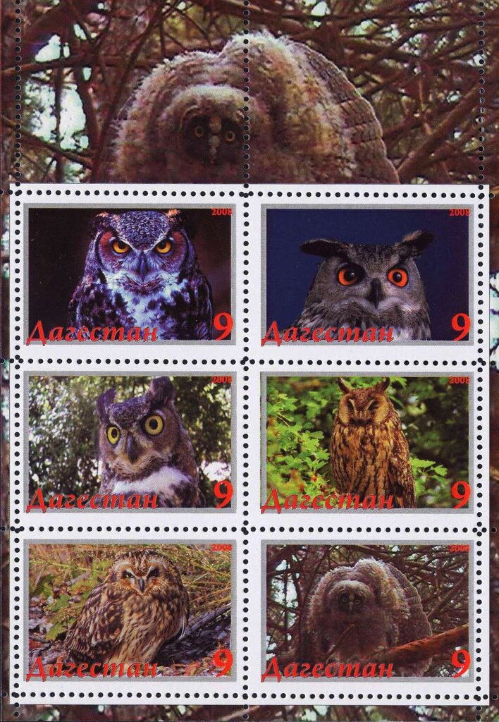 Owls