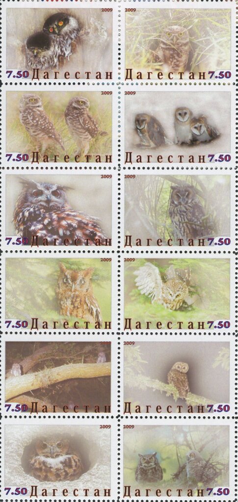 Owls