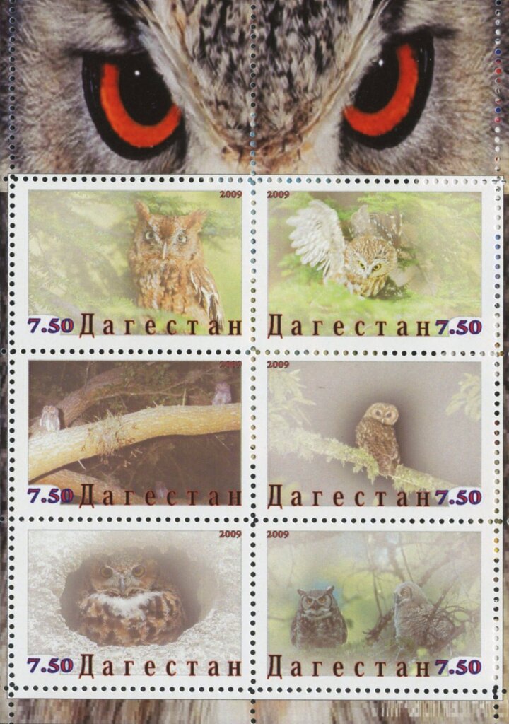 Owls