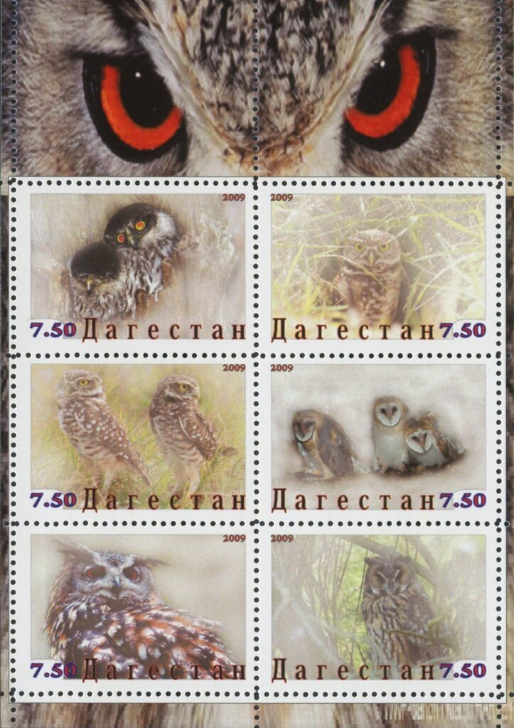 Owls