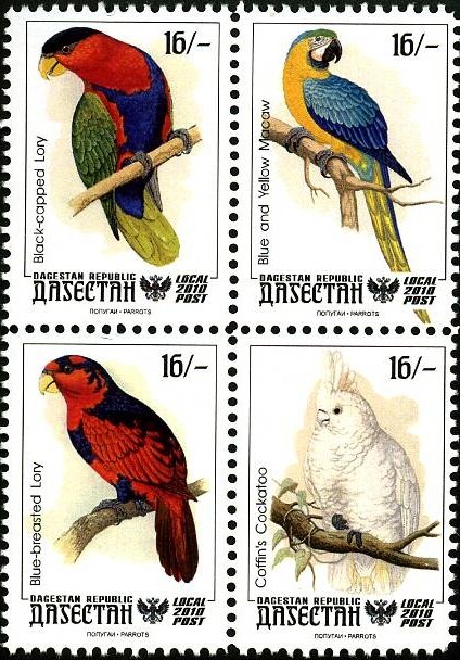 Parrots