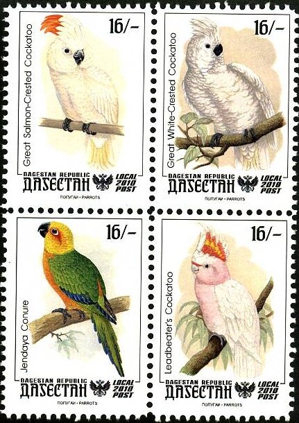 Parrots