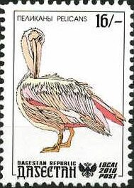 Stamp, Pelicans, Cinderellas,  , Animals (Fauna), Birds, Pelicans