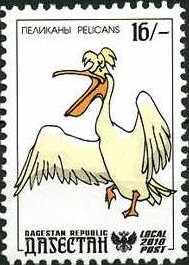 Pelicans