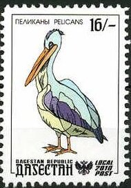 Stamp, Pelicans, Cinderellas,  , Animals (Fauna), Birds, Pelicans