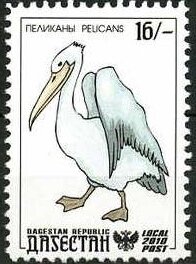 Pelicans
