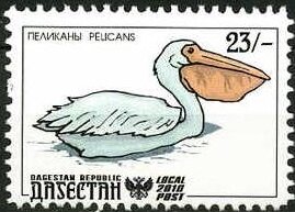 Stamp, Pelicans, Cinderellas,  , Animals (Fauna), Birds, Pelicans