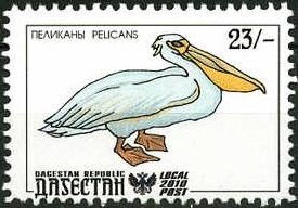 Stamp, Pelicans, Cinderellas,  , Animals (Fauna), Birds, Pelicans