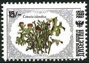 Stamp, Plants, Cinderellas,  , Plants (Flora)