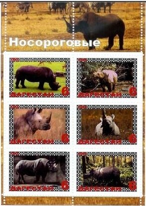 Mini Sheet, Rhinoceroses, Cinderellas,  , Animals (Fauna), Mammals, Rhinoceroses