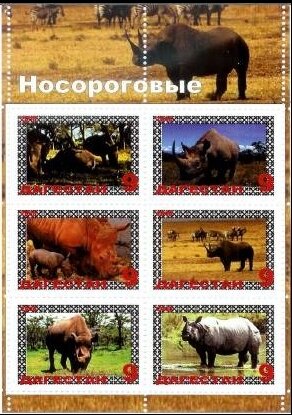 Rhinoceroses