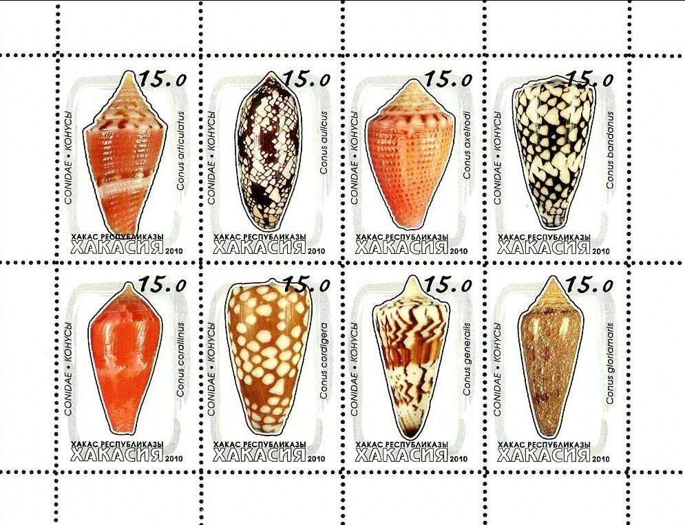 Shells