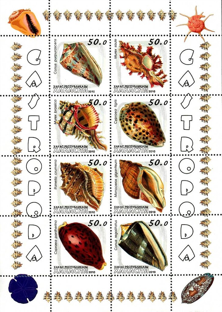 Shells