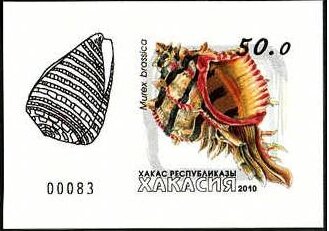 Stamp, Shells, Cinderellas,  , Shells