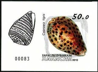 Stamp, Shells, Cinderellas,  , Shells
