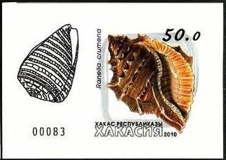 Stamp, Shells, Cinderellas,  , Shells