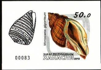 Stamp, Shells, Cinderellas,  , Shells