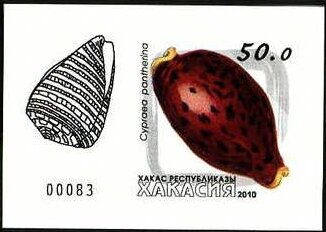 Stamp, Shells, Cinderellas,  , Shells
