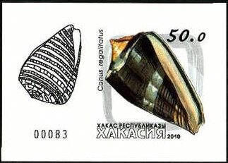 Stamp, Shells, Cinderellas,  , Shells