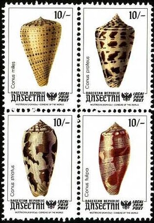 Shells
