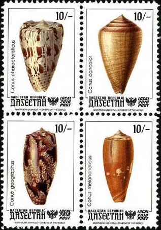 Shells