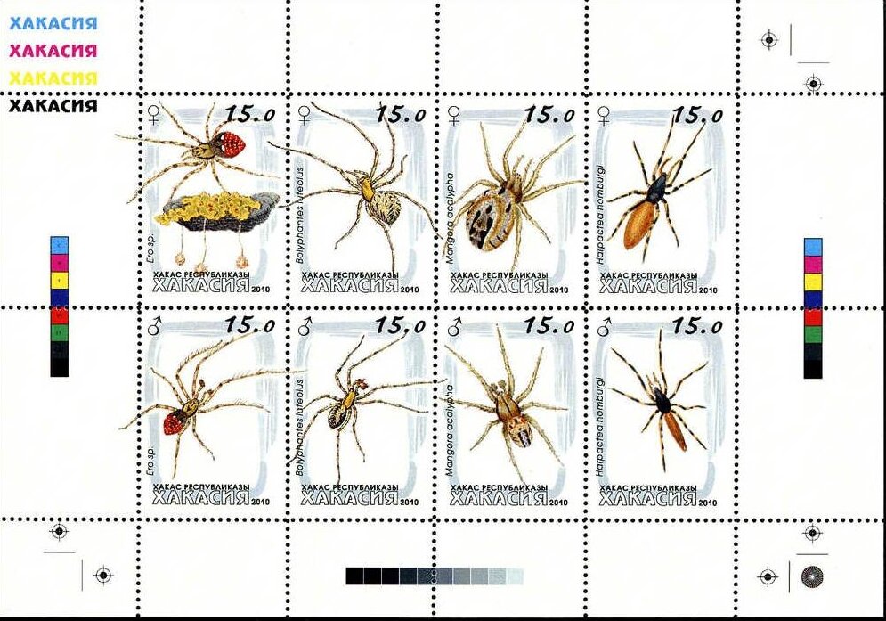Spiders